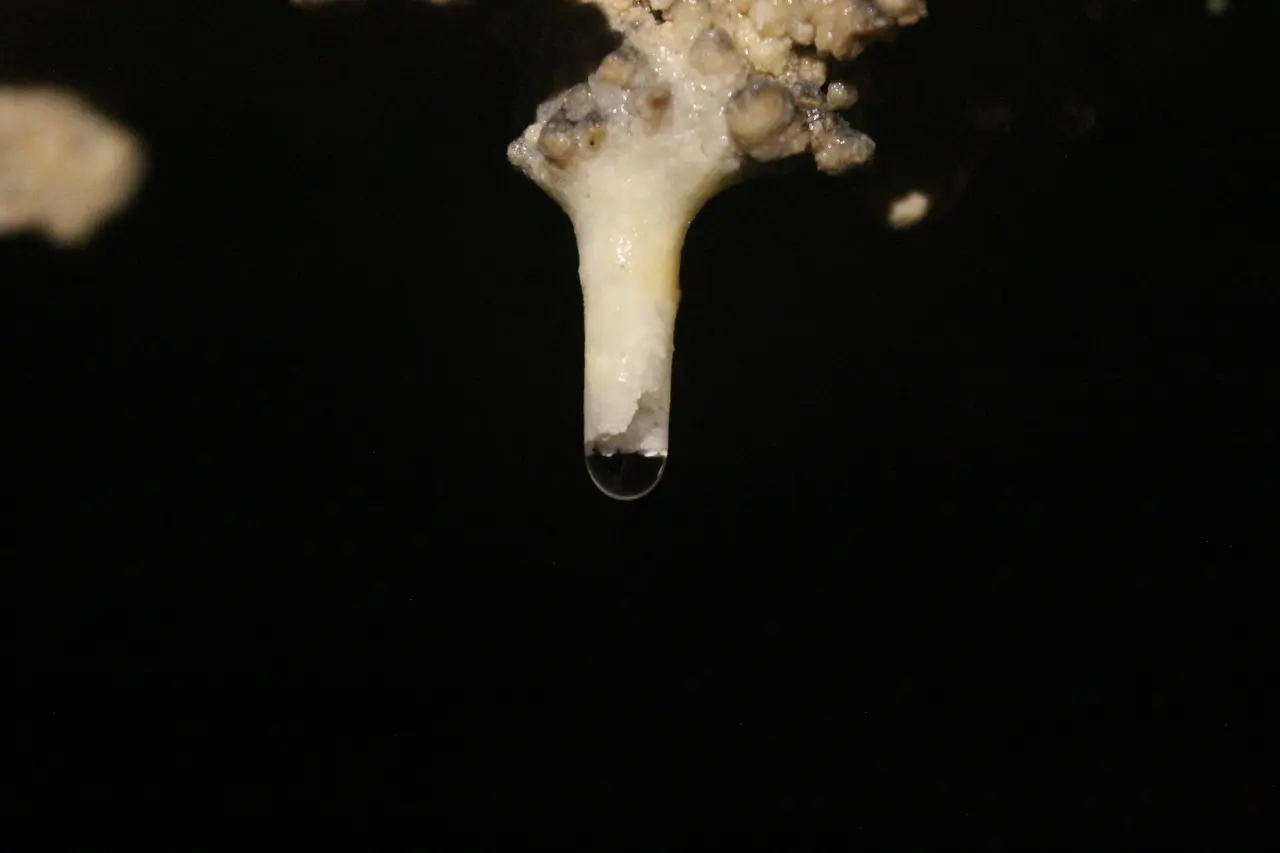 Caverna Olhos DAgua